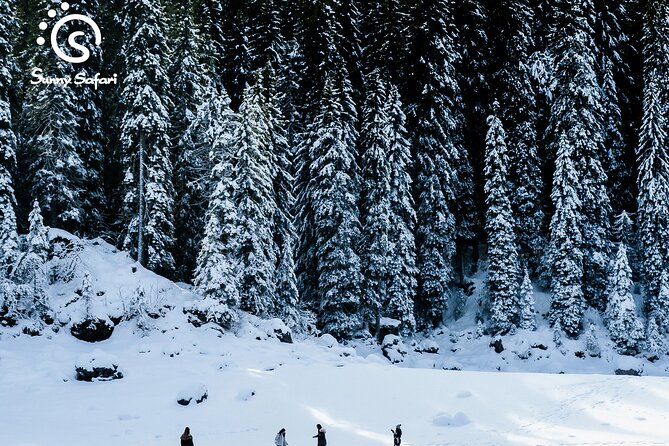 Snowshoeing in Lapland Wilderness - Value check: why the included stuff matters