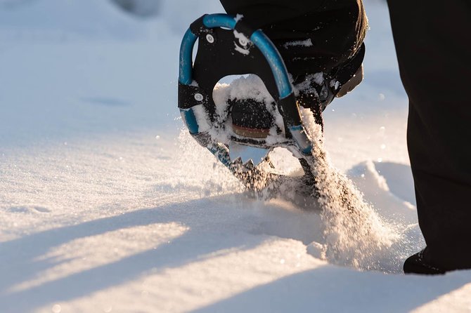 Snowshoeing in the Arctic Circle Wilderness - The 20-minute transfer and how the half-day really works