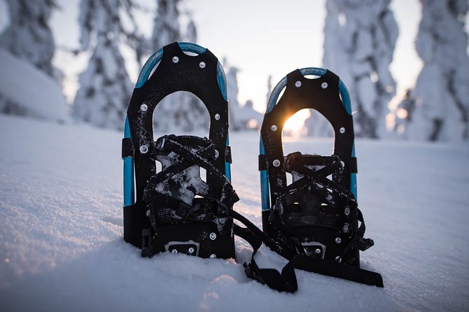 Snowshoeing in the Arctic Circle Wilderness - From snowshoes to a guided trek in Lapland woods
