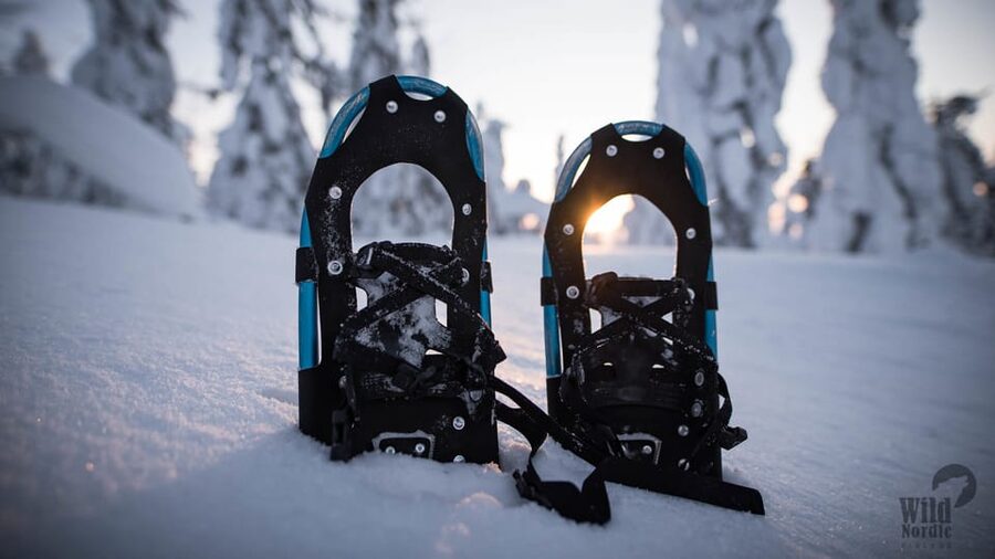 Snowshoeing in the Arctic Wilderness - Frozen rapids, quiet views, and the magic of winter timing