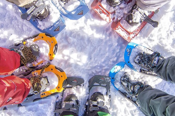 Snowshoeing tour with Wild Lunch - Key highlights you will actually feel during the tour