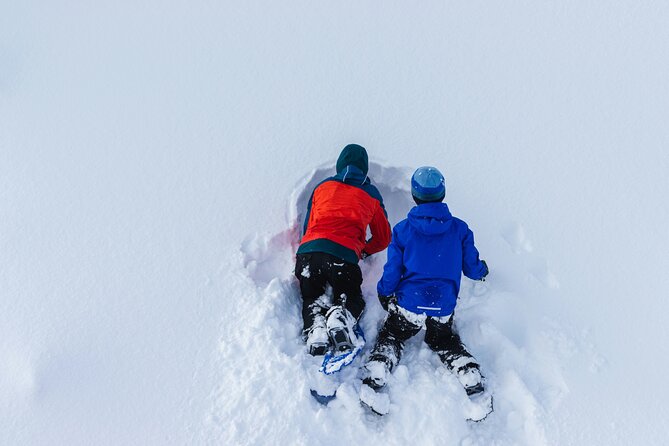 Snowshoeing tour with Wild Lunch - Rovaniemi Snowshoeing With Wild Lunch, the simple deal