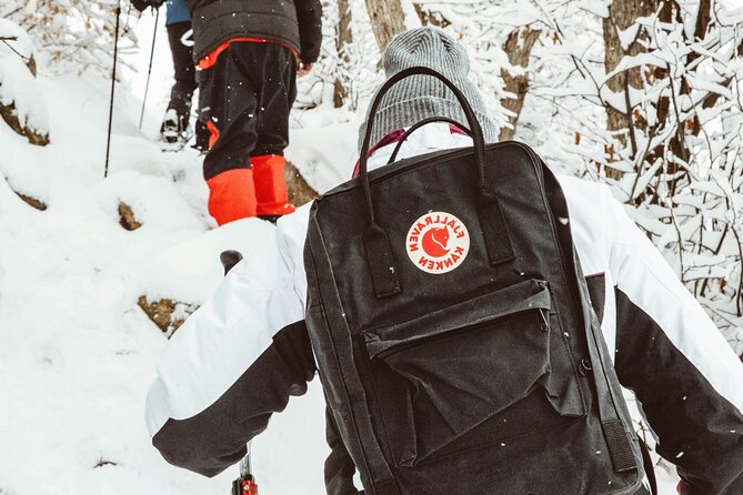 Snowshoeing tour with Wild Lunch - Warming up in a teepee: wild lunch with hot drink and reindeer meat