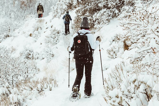 Snowshoeing tour with Wild Lunch - Duration and schedule: how the timing shapes the day