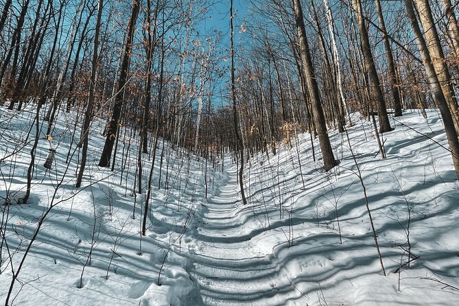 Snowshoeing tour with Wild Lunch - Price and value at about $95.53 per person