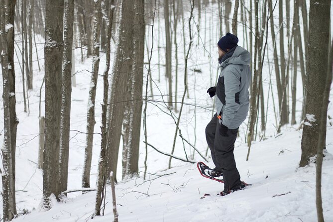 Snowshoeing tour with Wild Lunch - Who this Wild Lunch snowshoe tour is best for