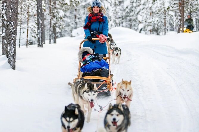 Snowy Trails 10km Husky Safari from Rovaniemi - Riding comfort, sled steering, and cold-weather reality