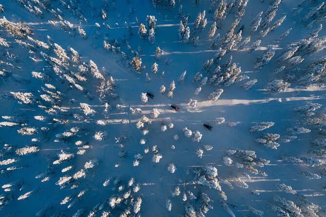 Thrill of Snowmobiling for Adults Only - Shared two-seater snowmobiles, and how the thrill changes