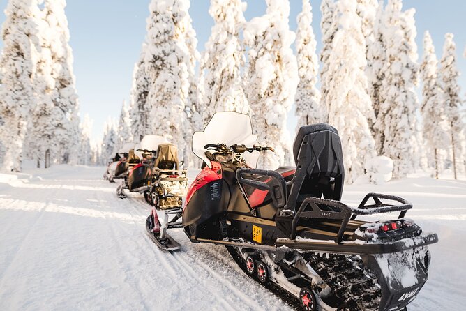 Thrill of Snowmobiling for Adults Only - Safety, liability, and the English-instructions reality check