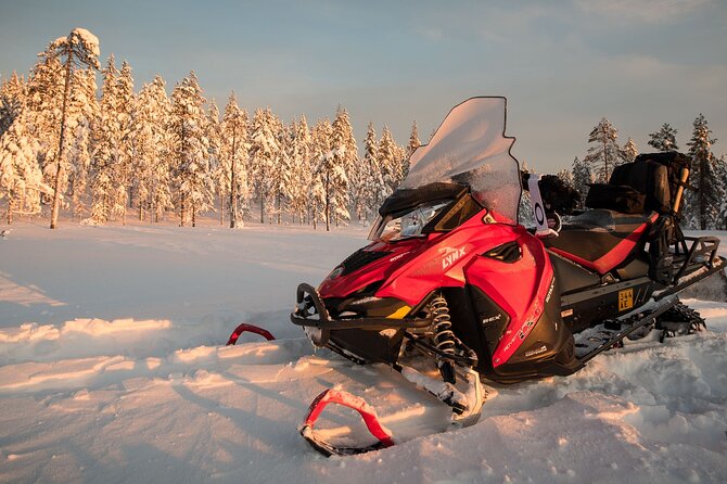 Thrill of Snowmobiling for Adults Only - Price and what you’re really buying at about $215