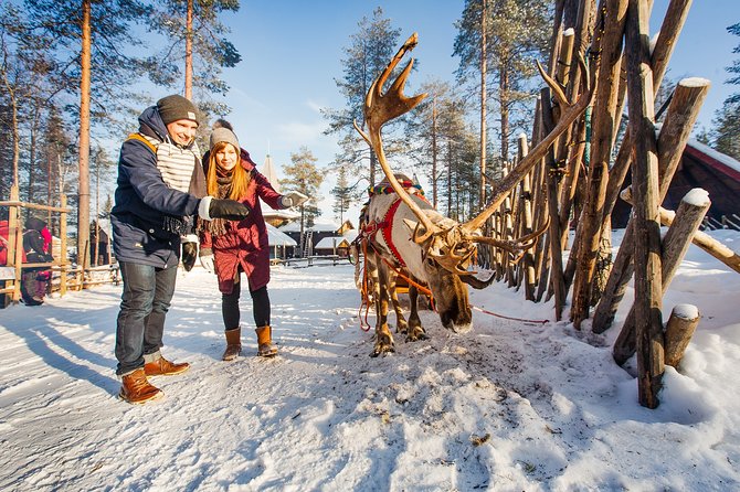 Trip to Arctic Circle, Santa Claus Village and Santas Reindeer - Guides matter, and you can feel the difference