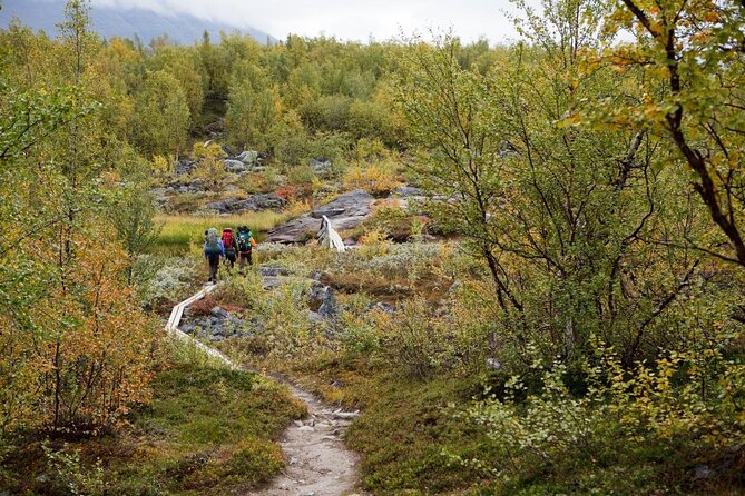 Trip to Pyhä-Luosto National Park and Amethyst Mine - Key things you should notice