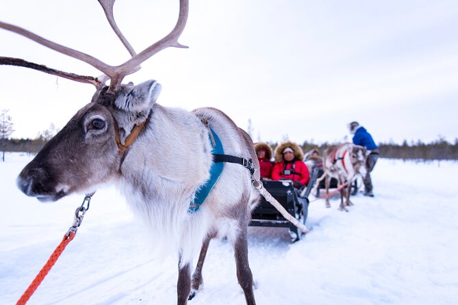 Two Full Days in Lapland - Winter Gear and Pickup: Why This Trip Feels Easy