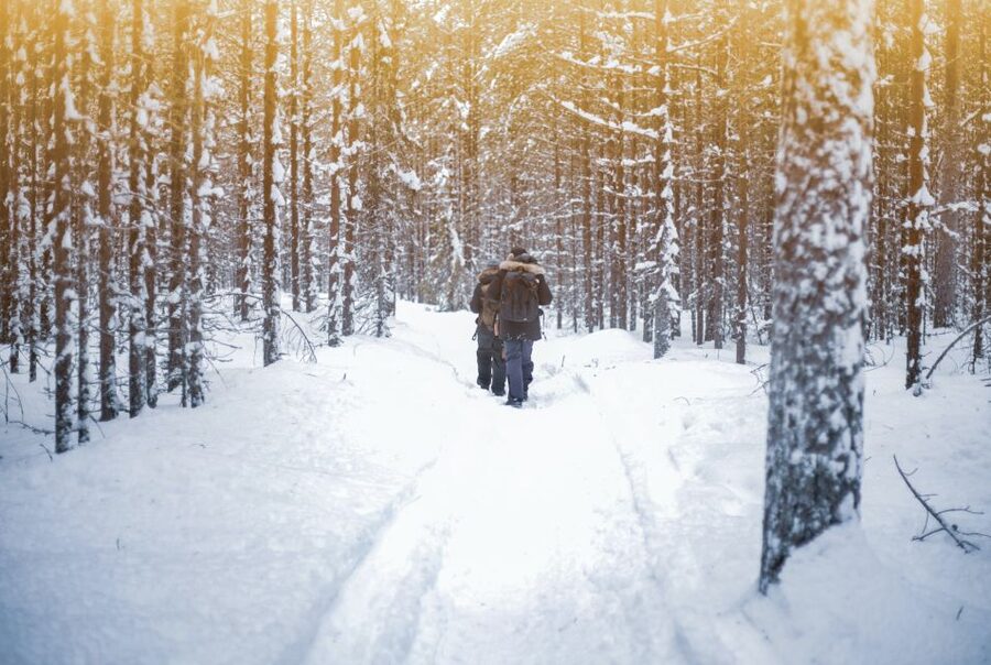 Vikakongas Hike: Nature and Silence - Key things you will notice on this Vikakongas hike