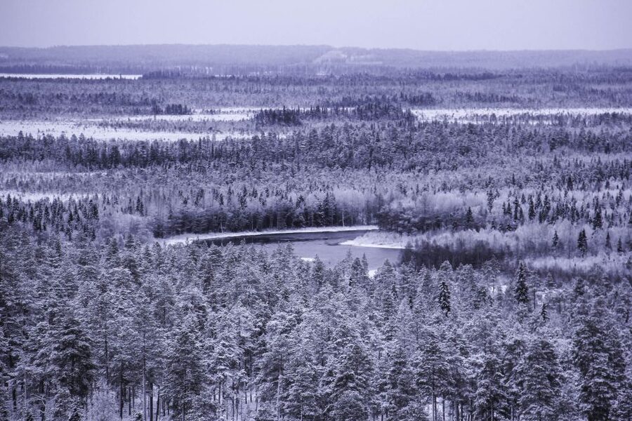 Vikakongas Hike: Nature and Silence - Why this hike feels different in the Arctic