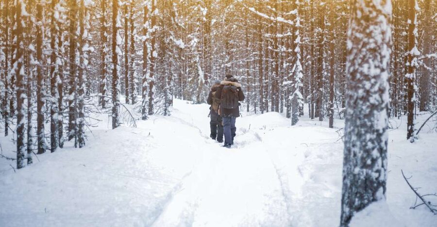 Vikakongas Hike: Nature and Silence - The Rovaniemi pickup and ride to the trail