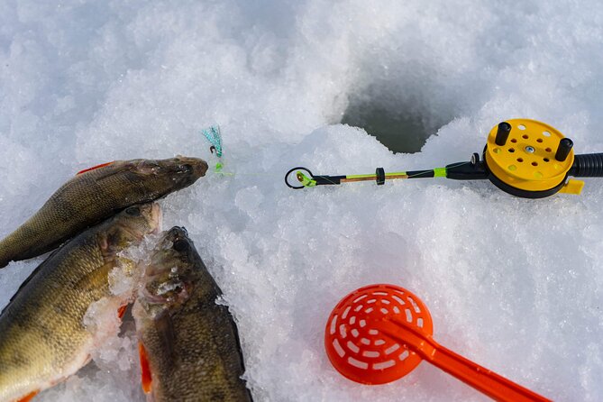 VIP Ice Fishing "ICEBREAKER" Lunch in Glass Igloo - Who this tour fits best (and who should consider alternatives)