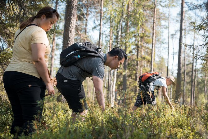 Wild Berries and Mushroom picking tour - When to go: late July to early October