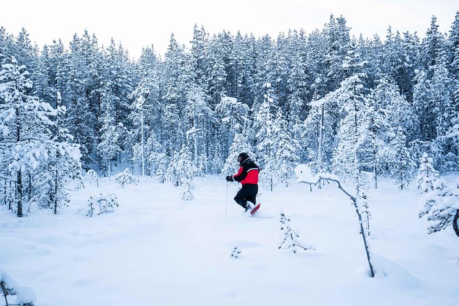 Wilderness snowshoe adventure - Photographer guide coaching: turning Arctic scenes into real photos