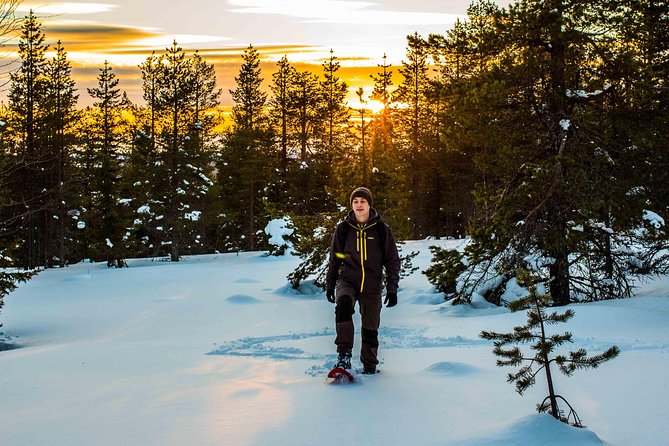 Wilderness snowshoe adventure - Transportation, timing, and group size that actually makes sense