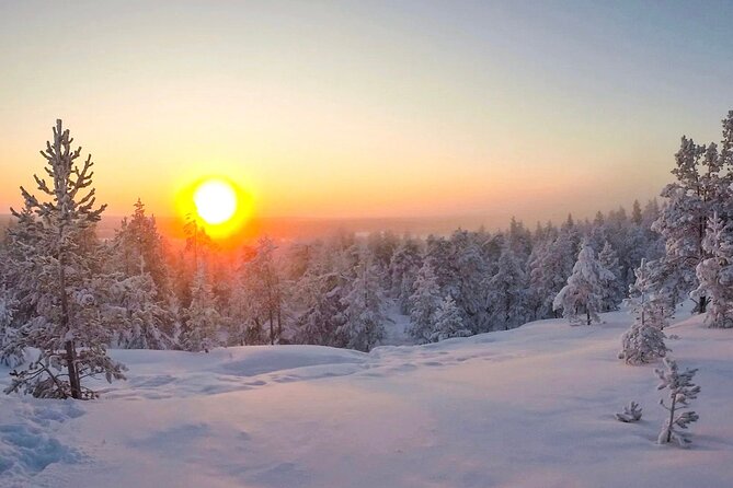Wilderness Survival Tour - Winter - The Warm-Up: Campfire Snacks and Hot Drinks Midway