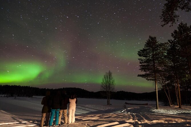 Winter afternoon group Ride in Saariselkä - Key highlights to know before you go