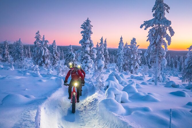 Winter afternoon group Ride in Saariselkä - Stop 2: Urho Kekkonen National Park trails, powder snow, and real laughs