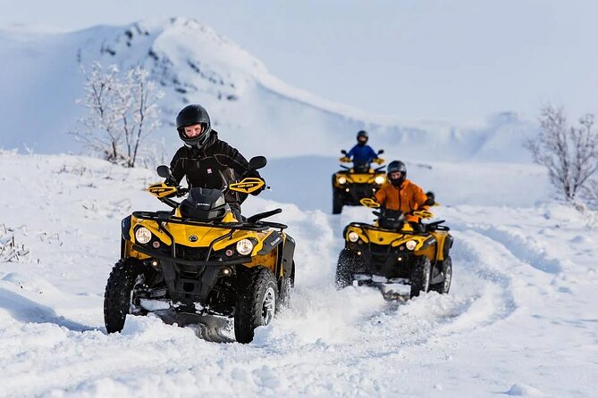 Winter Quad Bike Ride in the Arctic Circle from Rovaniemi - The forest break: hot blueberry juice, gingerbread, and photo time