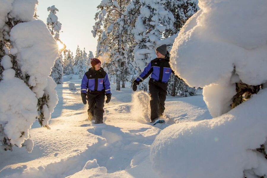 Ylläs: Forest Hike with Snowshoes - Should You Book This Ylläs Forest Hike With Snowshoes?