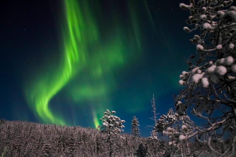 Ylläs: Seeking Northern Lights Photo Tour - Ylläs At Night: What Makes This Tour Different