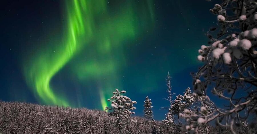 Ylläs: Seeking Northern Lights Photo Tour - Should You Book the Safartica Ylläs Northern Lights Photo Tour?